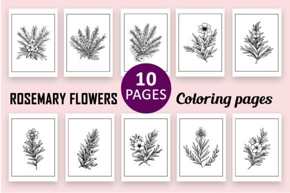 Rosemary Flower Coloring Page for Adults: Practical Design Asset for Print-on-Demand and Creative Workflows